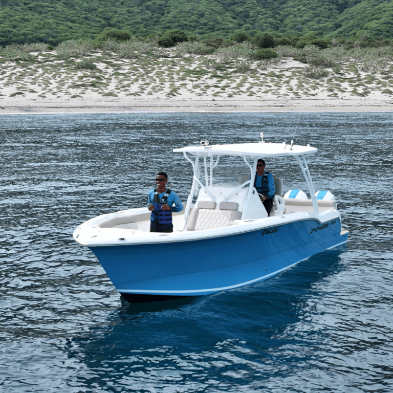 mt31_DJI_20231014090648_0452_D